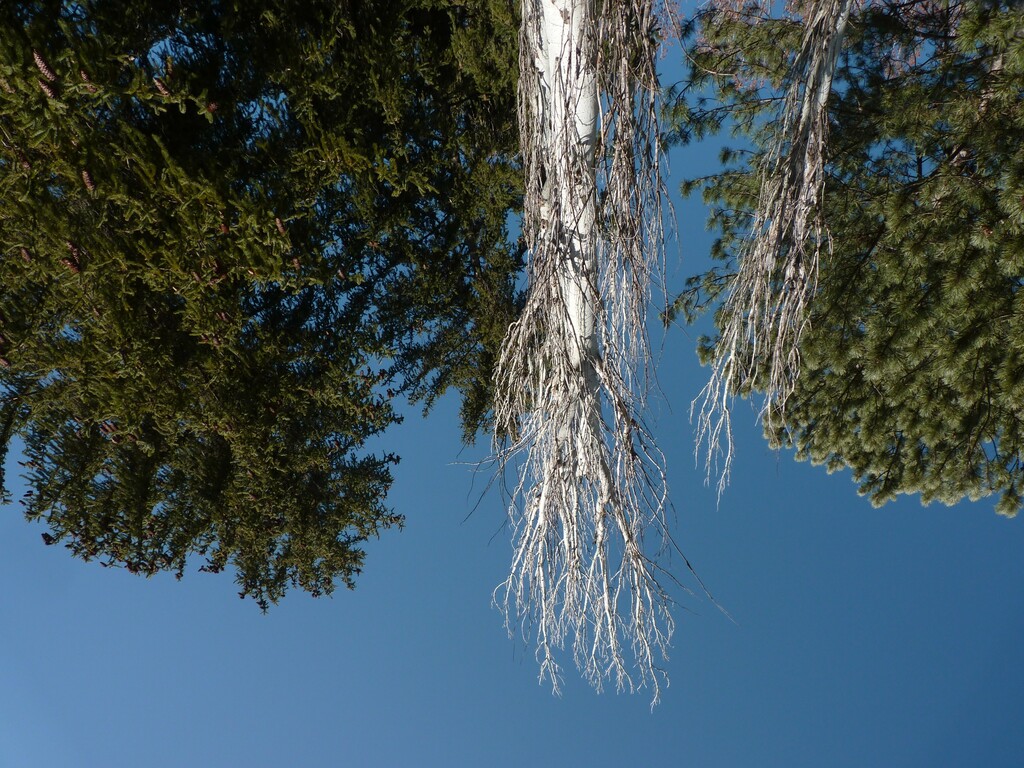 No s'ha trobat l'arxiu